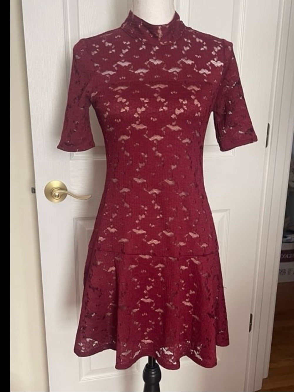 BCBGMaxAzria Burgundy Lace Short Sleeve Mini Dress